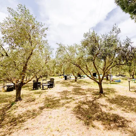 La Fragolaia Feriegård Marina di Grosseto