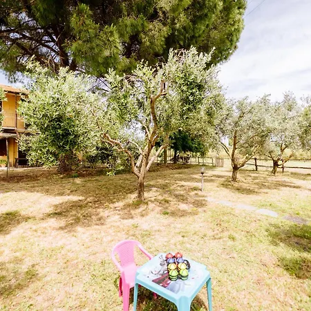 La Fragolaia Marina di Grosseto