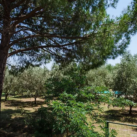 La Fragolaia Lantgård Principina Terra