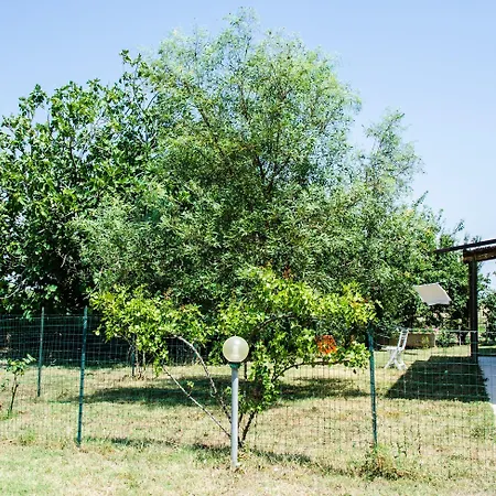 La Fragolaia *