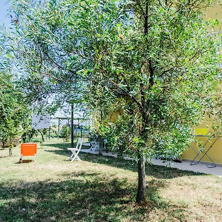 La Fragolaia * Principina Terra