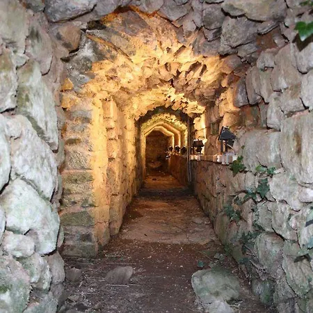 La Fragolaia *